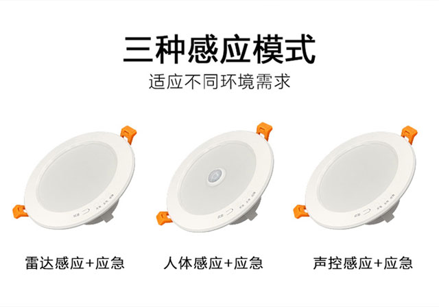 应急款智能感应筒灯